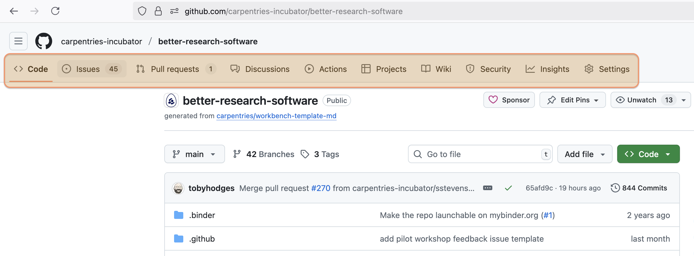 Home page of a GitHub repository showing all the top-level tabs, including Code, Issues, Pull requests, Actions, projects, Wiki, Insights and Settings