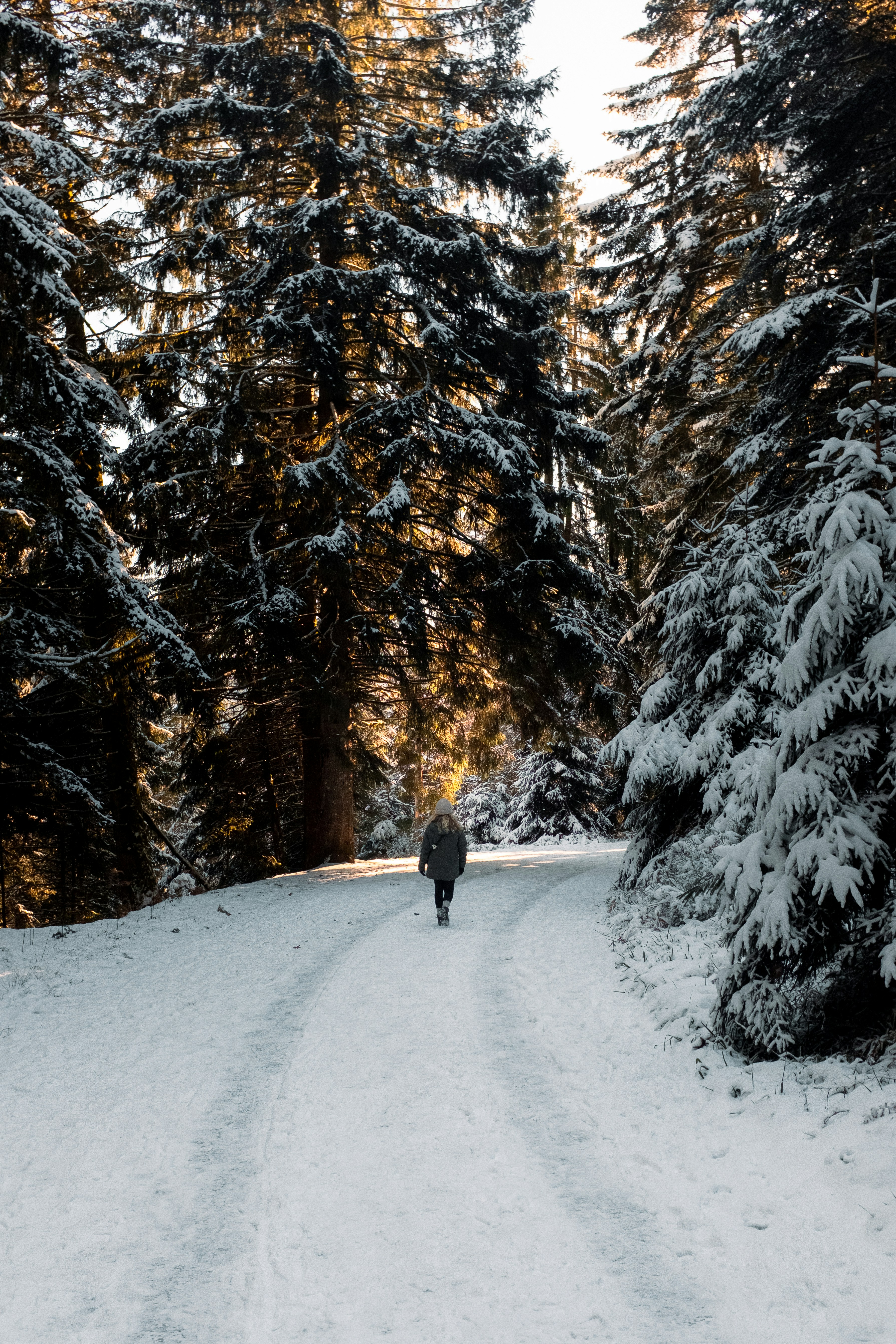 A person walking through a snowy forest.